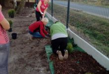 4. Sadzenie krzewów