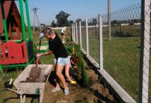 5. Sadzenie krzewów