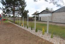 9. Krzewy -efekt końcowy