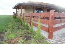 8. Krzewy - efekt końcowy