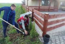 3. Sadzenie krzewów