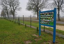 9. Krzewy i trawa - efekt końcowy