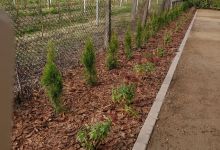 2. Krzewy -efekt końcowy