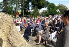 resized_20200920_122804