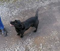 FB_IMG_1614950124835