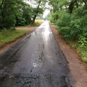 13663443_1242636719103870_1125387837_o