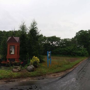 13720571_1242636695770539_347056278_o