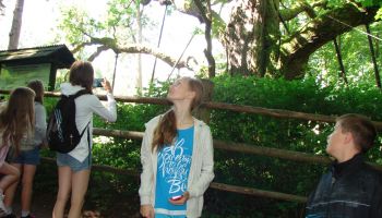 kolonie Ręczno 2016 (24)