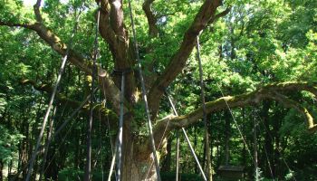 kolonie Ręczno 2016 (27)