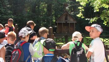 kolonie Ręczno 2016 (31)