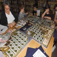 FERIE ZIMOWE 2020 r.