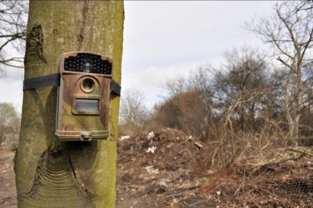 Fotopułapki na terenie gminy