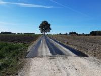 Koniec prac na drodze w miejscowości Jasionna