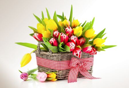 Najserdeczniejsze życzenia z okazji Dnia Kobiet