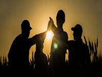 Nawet 100 tys. euro rocznie dla grup i organizacji producentów