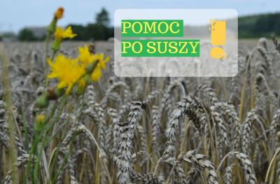 Pomoc suszowa – uprawy rolne