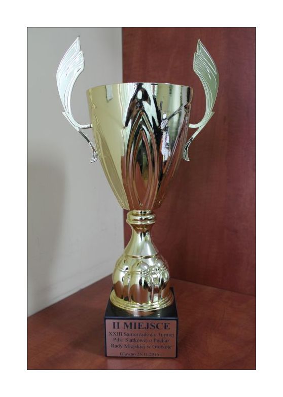 Sukces samorządowców z Gminy Głowno w XXIII Samorządowym Turnieju Piłki Siatkowej