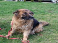 Szukamy właściciela