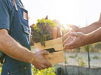 Tworzenie krótkich łańcuchów dostaw - grupy EPI mogą starać się o wsparcie