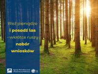 Weź pieniądze i posadź las – wkrótce ruszy nabór wniosków