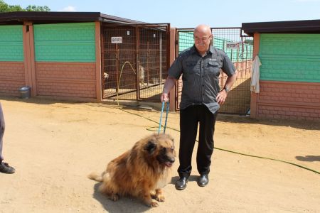 Wizytacja schroniska dla zwierząt w Wojtyszkach