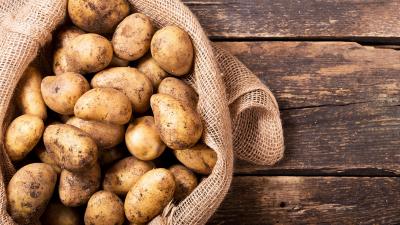 Wojewódzki Inspektorat ochrony roślin i Nasiennictwa w Łodzi informuje o chorobach ziemniaka, 2019