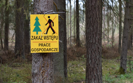 Nadleśnictwo Grotniki odwołuje zakaz wstępu do lasu