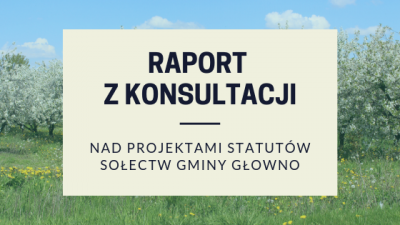 Raport z konsultacji nad projektami statutów sołectw Gminy Głowno
