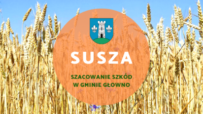 Straty w uprawach powstałych w wyniku suszy 2019